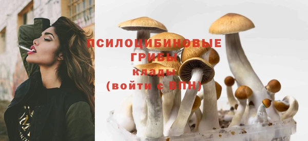 марки lsd Ельня