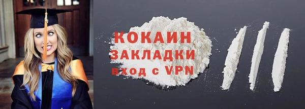 гашик Елизово