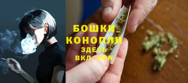 гашик Елизово