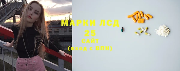 гашик Елизово