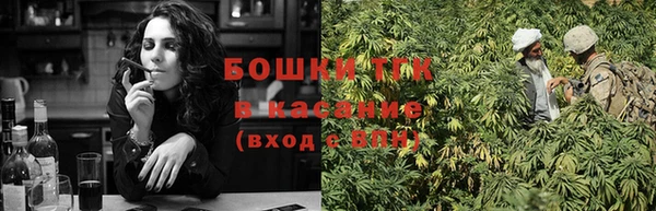 гашик Елизово