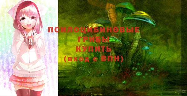 гашик Елизово